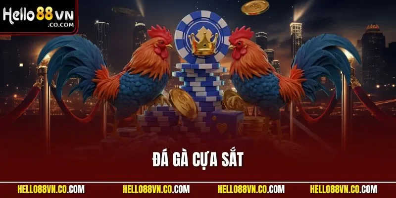 đá gà cựa sắt