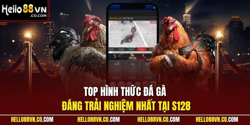 Top hình thức đá gà đáng trải nghiệm nhất tại S128