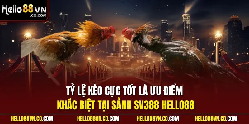 Tỷ lệ kèo cực tốt là ưu điểm khác biệt tại sảnh SV388 HELLO88