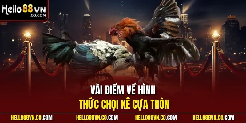 Vài điểm về hình thức chọi kê cựa tròn